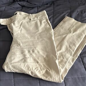 Ann Taylor Factory Women’s Tan Stretch Straight Leg Pants - 12